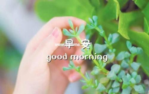 春节寄语祝福句子 春节问候语和祝福语