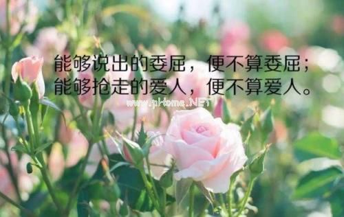 表达压抑憋屈的心情短语
