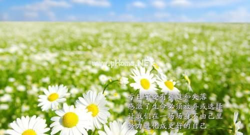 感恩简短文字句子 关于感恩的心情短语