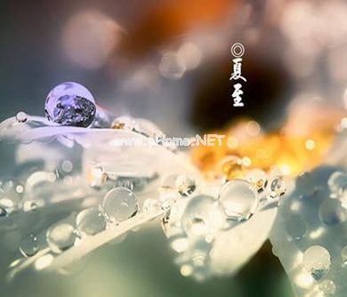 2023夏至的创意说说 夏至很有个性的朋友圈文案收录27句