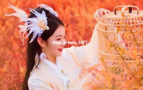 抖音情感语录短句大全 青春语录大全伤感