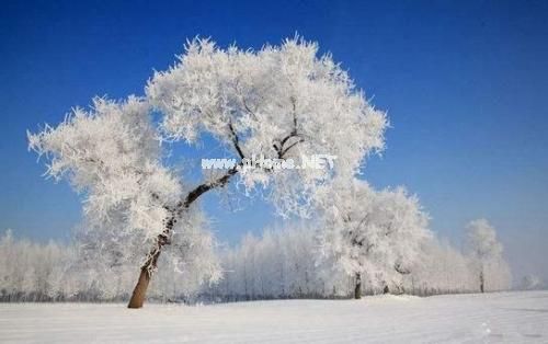 发个雪景的说说 雪天走心文案