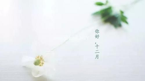 十二月你好朋友圈说说15句