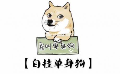 5月20号发的单身说说摘抄25句