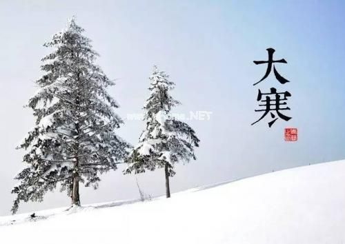 大寒节气朋友圈早安心情说说25句