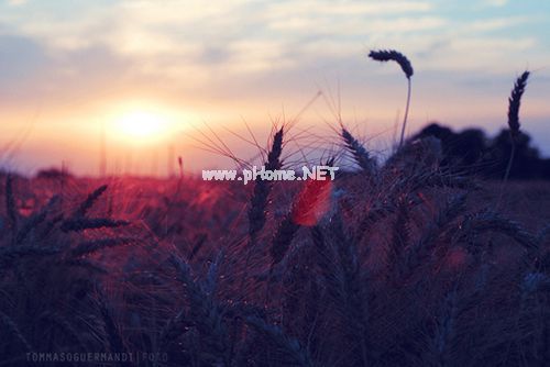 适合情人节发的说说短语 情人节，你负责幸福，我负责祝福