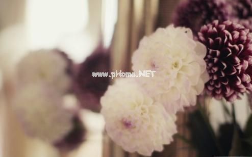 教师节的说说大全