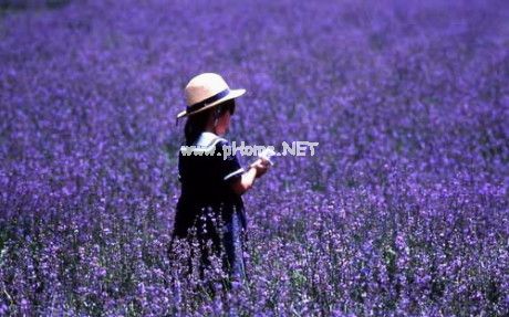 女人语录心情说说大全