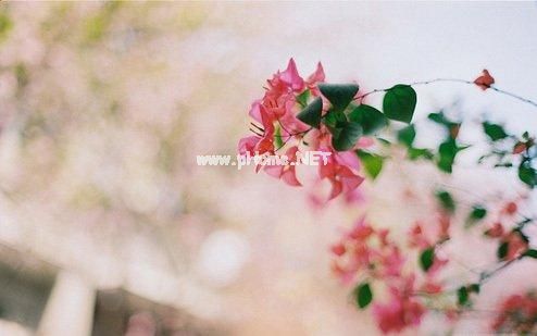 做生意发圈吸引人的句子41句
