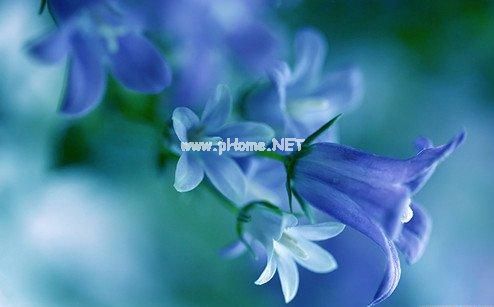 适合教师节发朋友圈的句子
