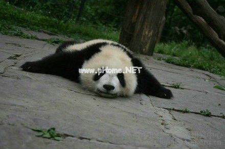 心情说说带图片致自己_不保留的才叫青春精选38句