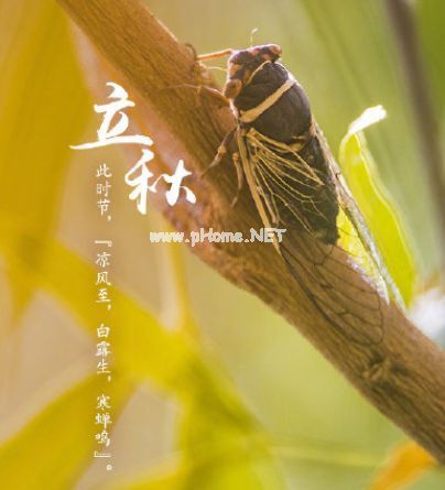 立秋全新祝福语说说2023 适合立秋心情的说说句子23句