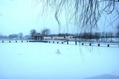 下雪了心情不好的说说 我住的城市从不下雪 记忆却堆满冷的感