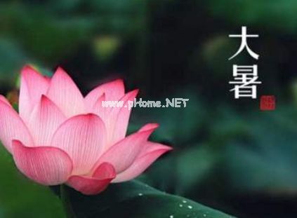 大暑节气的问候祝福语大全 2020最新微信大暑说说句子