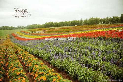 小清新伤感的说说15句
