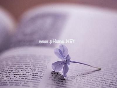 关于伤感悲伤绝望的心情说说35句