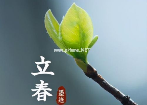 立春句子说说