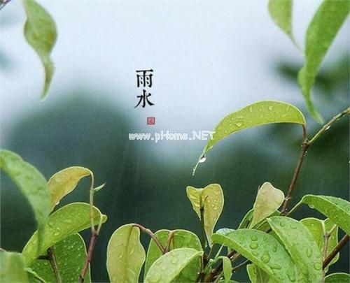 雨水节气的朋友圈说说