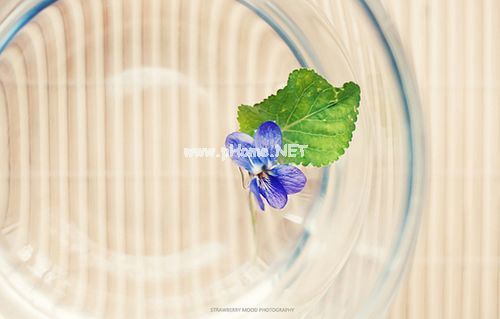 2023经典的心情短语 失而复得的东西，永远不会回到原来的样子