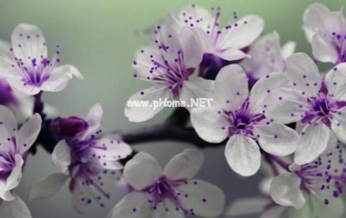 发朋友圈伤感的一句话 心情不好简短朋友圈怎么说