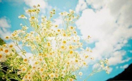 最容易上热门的标题 快手涨粉句子21句