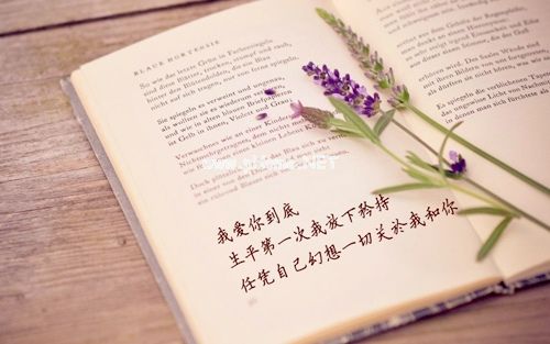 关于宿命的唯美句子 也许这就是宿命说说20句