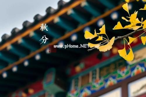 秋分说说朋友圈心情唯美句子30句