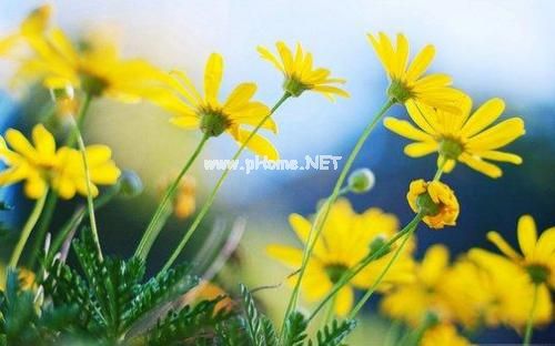 一句致自己晚安的话 晚安发朋友圈的好句子33句