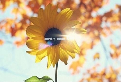 朋友圈简短心情说说大全19句