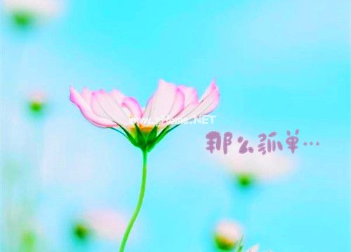 天天累得不行的说说 一整天累成狗的说说30句