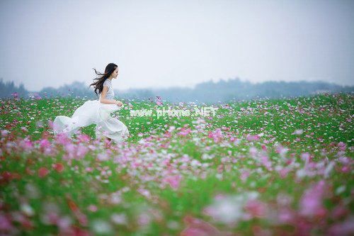 适合微信朋友圈的句子 不怕前路坎坷，只怕走错了方向