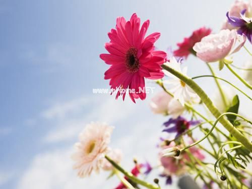 女神节发朋友圈的句子32句