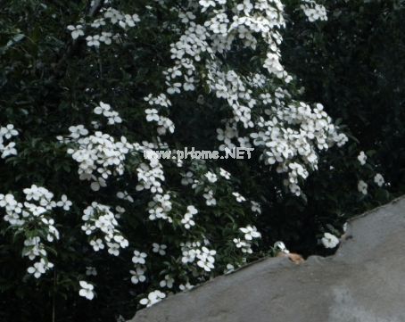 让你辗转反侧意难平的句子带图片 有点伤感绝望的说说带图片