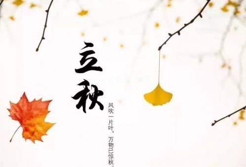 关于立秋的优美句子简单 立秋的朋友圈说说心情收录22句
