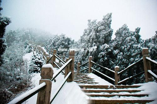 下雪的心情说说 下雪了喜欢蹲雪人的人请举手