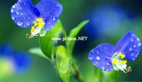 用微笑掩饰悲伤的句子 关于微笑的心情说说14句