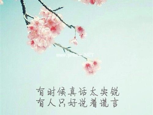 孩子大了我们老了的感悟说说22句