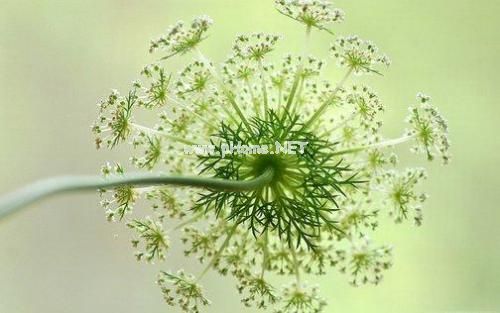 关于生活开心的文案 简短开心的句子大全