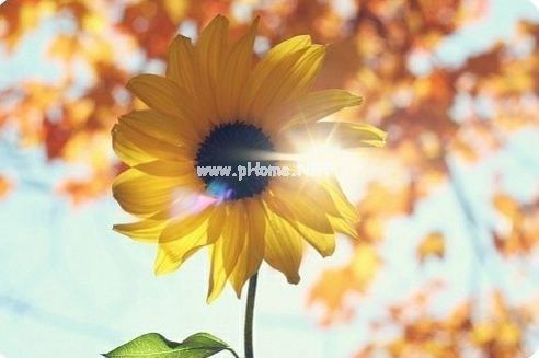 劳动节发的一句话说说 五一节快到了怎么发朋友圈说说