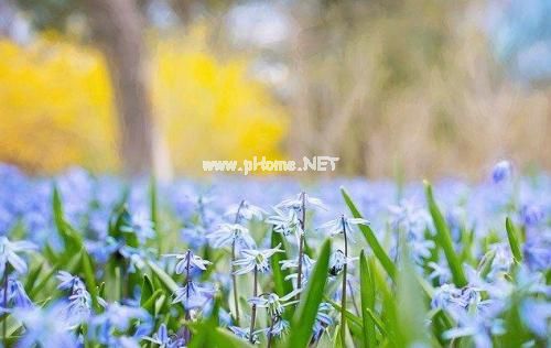 表达心累又无奈的说说简单的