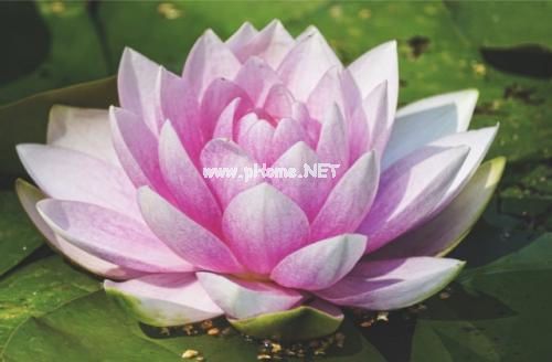 很久没发朋友圈的句子 朋友圈冒泡的说说合集39句