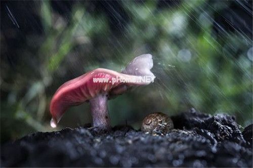 下雨了可以发的说说35句