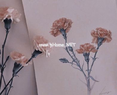 关于表白的爱情甜美说说 心甘情愿这几个词卑微又勇敢