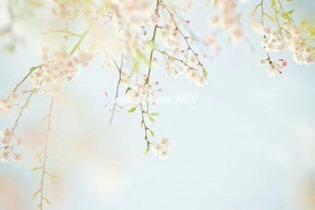 无奈的个性签名 无奈的个性说说收录22句