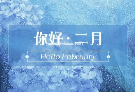 你好二月朋友圈唯美句子2023 1月再见2月你好文案