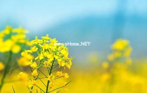 立春节气祝福语 立冬祝福语简短独特