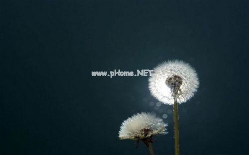 关于掉头发的说说 形容掉头发的搞笑说说