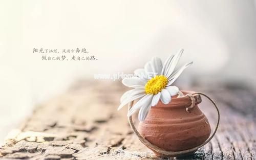 三月你好的说说短句