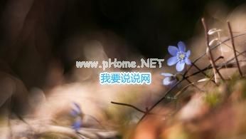 祝福美女节日快乐简短 女神节经典祝福语