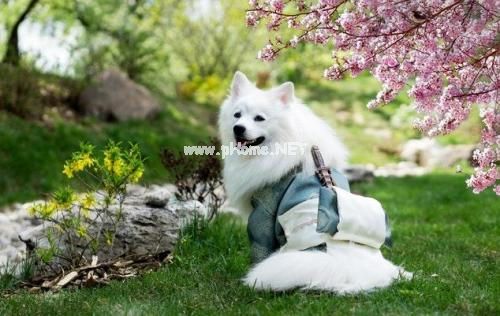 说说带图片的经典句子 qq空间说说配图文字